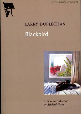 Blackbird by Larry Duplechan