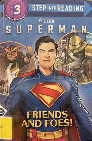 Superman: Friends and Foes by Billy Wrecks