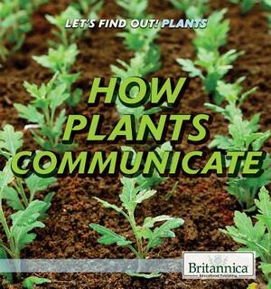 How Plants Communicate by Sarah Machajewski
