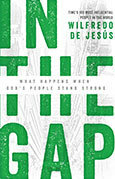 In the Gap: What Happens When God's People Stand Strong by Wilfredo de Jesús