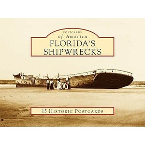 Florida's Shipwrecks by Michael Barnette