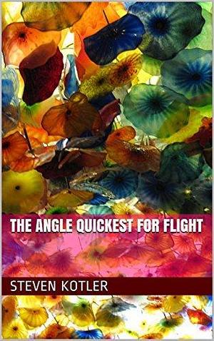 The Angle Quickest For Flight by Steven Kotler, Steven Kotler