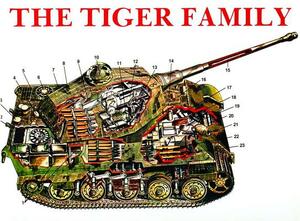 The Tiger Family: Tiger I, Porsche-Tiger, Elephant Pursuit Tank (Ferdinand), Tiger II (King Tiger), Hunting Tiger, Storm Tiger by Horst Scheibert