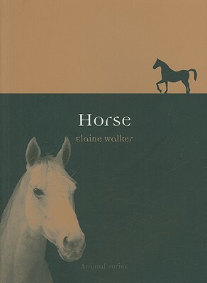Horse by Elaine Walker