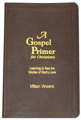 A Gospel Primer for Christians: Learning to See the Glories of God's Love by Milton Vincent