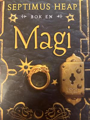 Magi by Angie Sage