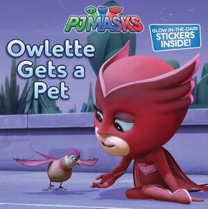 Owlette Gets a Pet by 