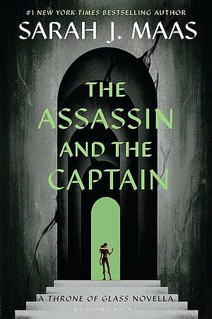The Assassin and the Captain by Sarah J. Maas