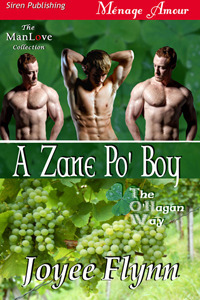 A Zane Po' Boy by Joyee Flynn