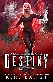 Destiny by K.N. Banet