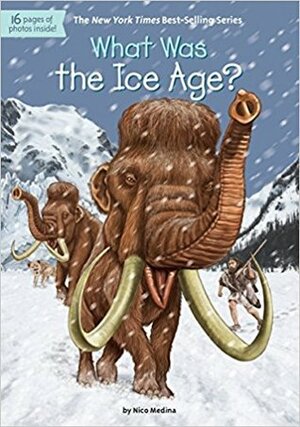 What Was the Ice Age? by Nico Medina, David Groff