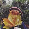 viviorchid's profile picture