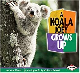 A Koala Joey Grows Up by Richard Hewett, Joan Hewett