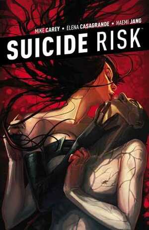 Suicide Risk, Vol. 5 by Mike Carey