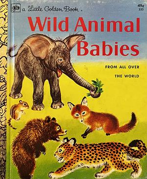 Wild Animal Babies From All Over the World by Kathleen N. Daly