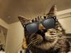 anxiousshorebird's profile picture