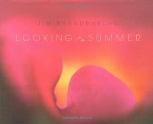 Looking for the Summer by Jim Brandenburg