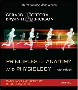 Principles Of Anatomy And Physiology by Bryan H. Derrickson, Gerard J. Tortora