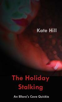 The Holiday Stalking by Kate Hill