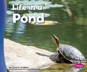 Life in a Pond by Carol K. Lindeen