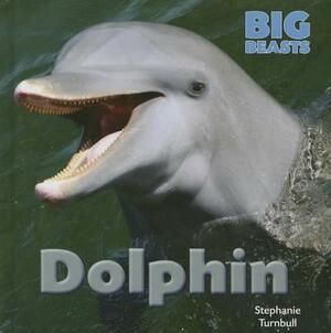 Dolphin by Stephanie Turnbull