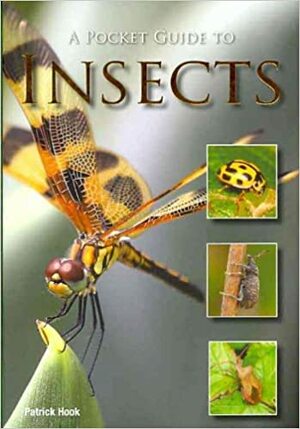 A Pocket Guide to Insects by Patrick Hook