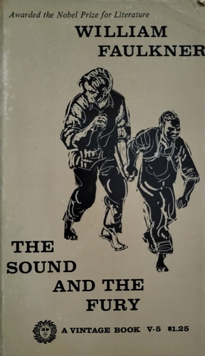 The Sound and the Fury by William Faulkner