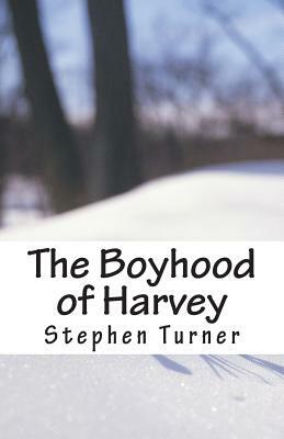 The Boyhood of Harvey by Stephen Turner