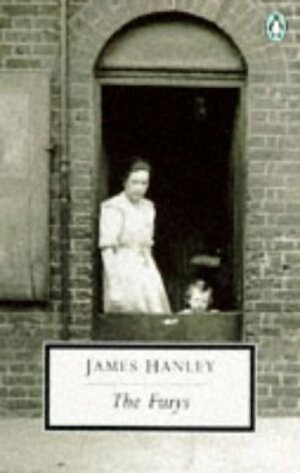 The Furys by James Hanley
