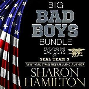 Big Bad Boys Bundle, Bad Boys of SEAL Team 3: Bad Boys of SEAL Team 3 by Sharon Hamilton