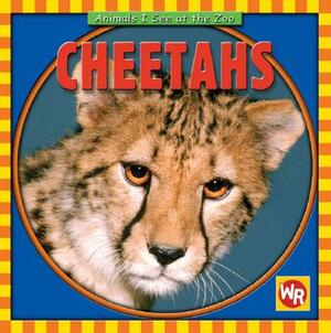 Cheetahs by Kathleen Pohl