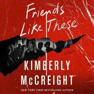 Friends Like These by Kimberly McCreight