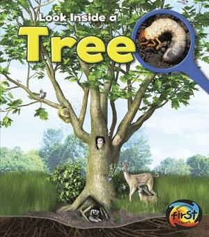 Tree: Look Inside by Richard Spilsbury