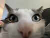 kiwinosuke's profile picture