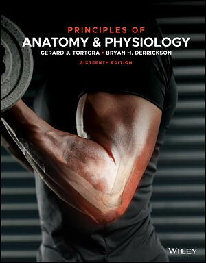 Principles of Anatomy and Physiology by Bryan H. Derrickson, Gerard J. Tortora