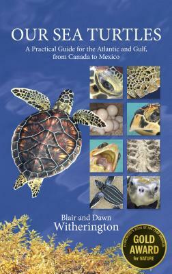 Our Sea Turtles: A Practical Guide for the Atlantic and Gulf, from Canada to Mexico by Dawn Witherington, Blair Witherington