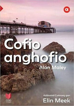 Cyfres Amdani: Cofio Anghofio by Alan Maley, Elin Meek