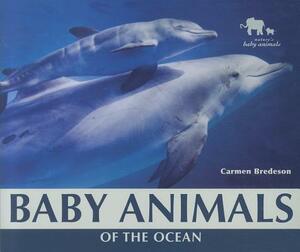 Baby Animals of the Ocean by Carmen Bredeson