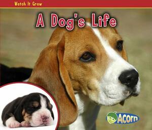 A Dog's Life by Nancy Dickmann