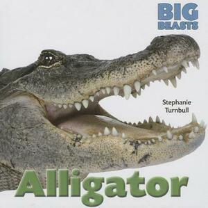 Alligator by Stephanie Turnbull