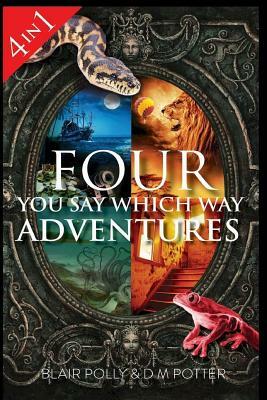 Four You Say Which Way Adventures: Pirate Island, In the Magician's House, Lost in Lion Country, Once Upon an Island by DM Potter, Blair Polly