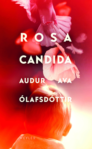 Rosa candida by Auður Ava Ólafsdóttir