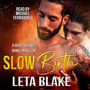 Slow Birth by Leta Blake