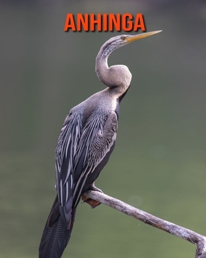 Anhinga: Learn About Anhinga and Enjoy Colorful Pictures by Matilda Leo