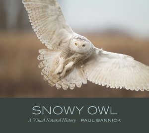 Snowy Owl: A Visual Natural History by Paul Bannick