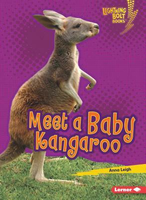 Meet a Baby Kangaroo by Anna Leigh