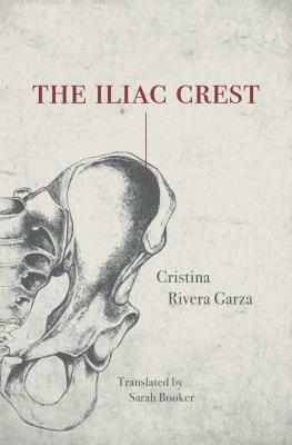 The Iliac Crest by Cristina Rivera Garza