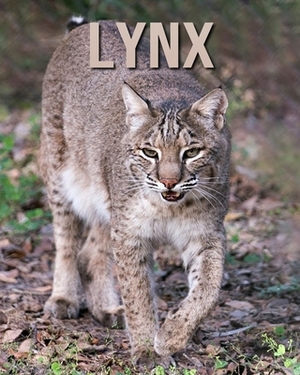 Lynx: Amazing Photos of Animals in Nature About Lynx by Alicia Henry