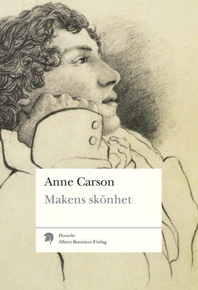 Makens skönhet : en fiktiv essä i 29 tangos by Anne Carson, Mara Lee