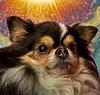earthlizwrex's profile picture